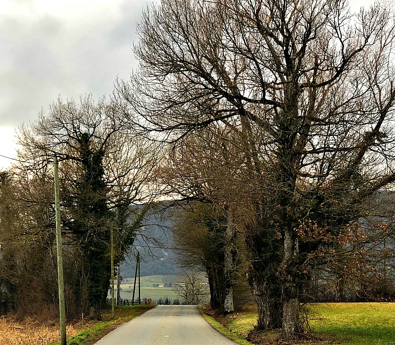 Back roads in France - tips for driving in Europe