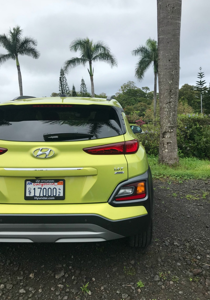 2018 Hyundai Kona Lime Twist Trees