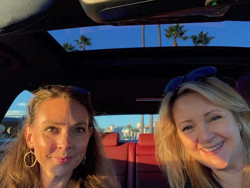 sunroof with palm trees background