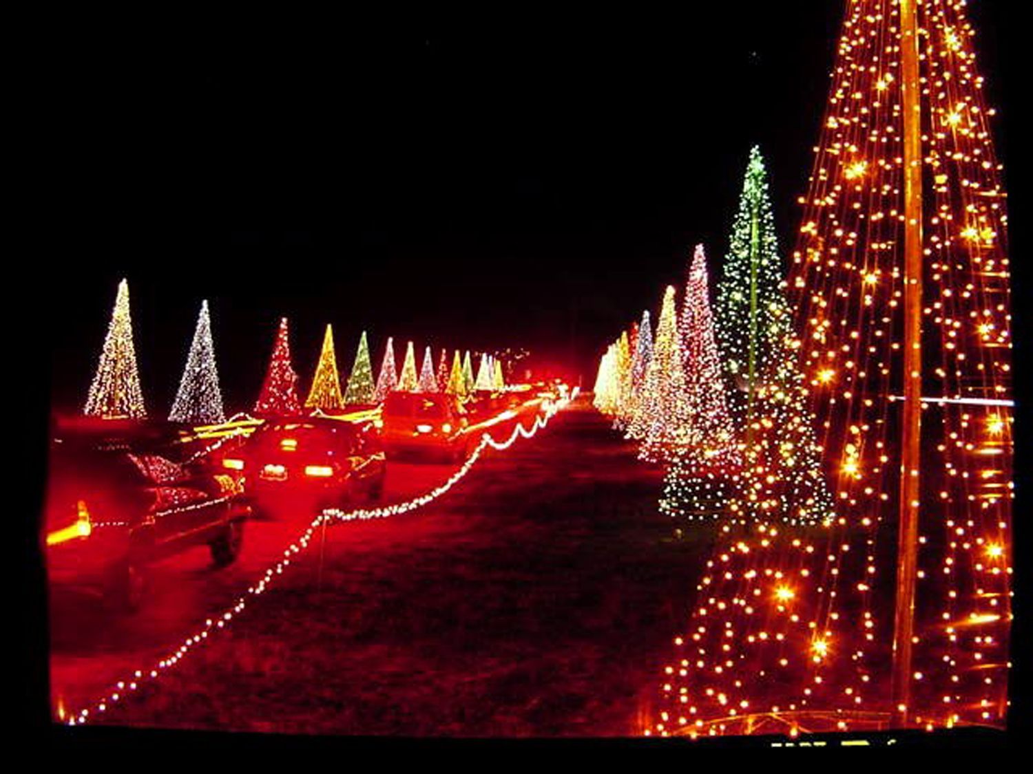 Best Drivethru Holiday Light Displays A Girls Guide to Cars