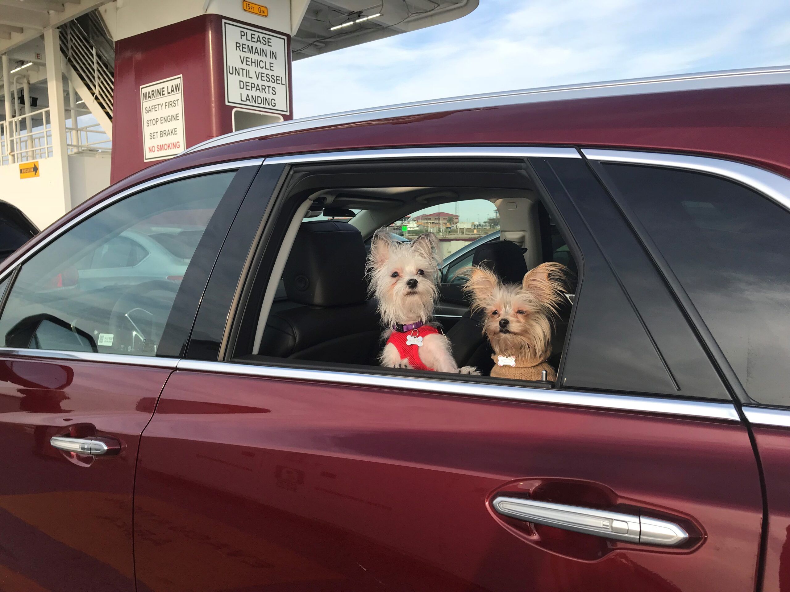 Traveling with a Pet: Cars and Car Seats for Dogs to Fit Fido's Style 13 Best cars for traveling with a pet and dog car seats ensure everyone has a good ride