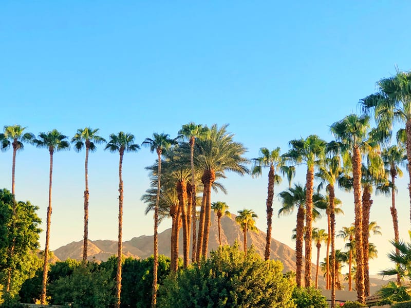 Miramonte Palm Springs Resort