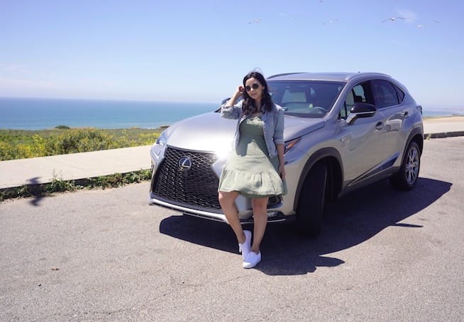 2019 Lexus NX 300 F Sport, 'Athluxury' in An SUV 15 lexus NX 300 F