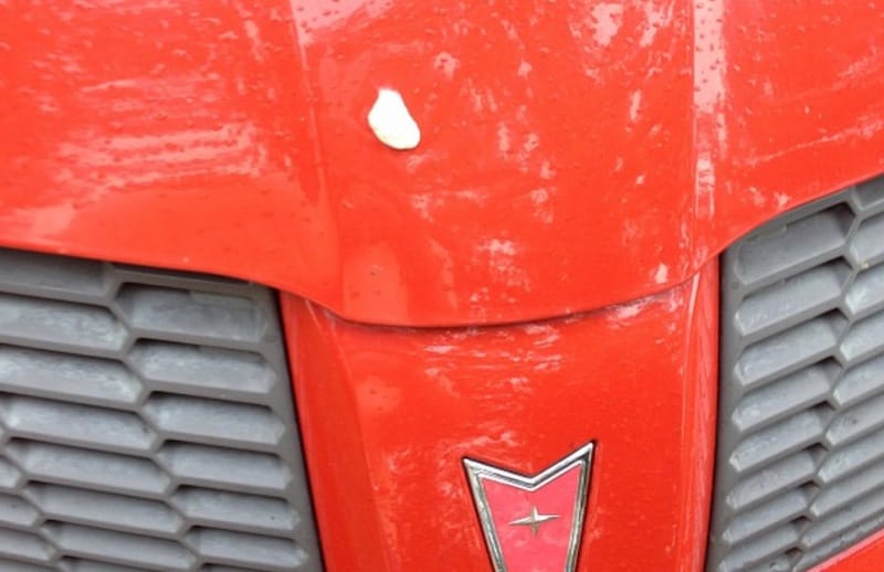 Gum on the car. Photo: @turn_the_paige via Instagram.