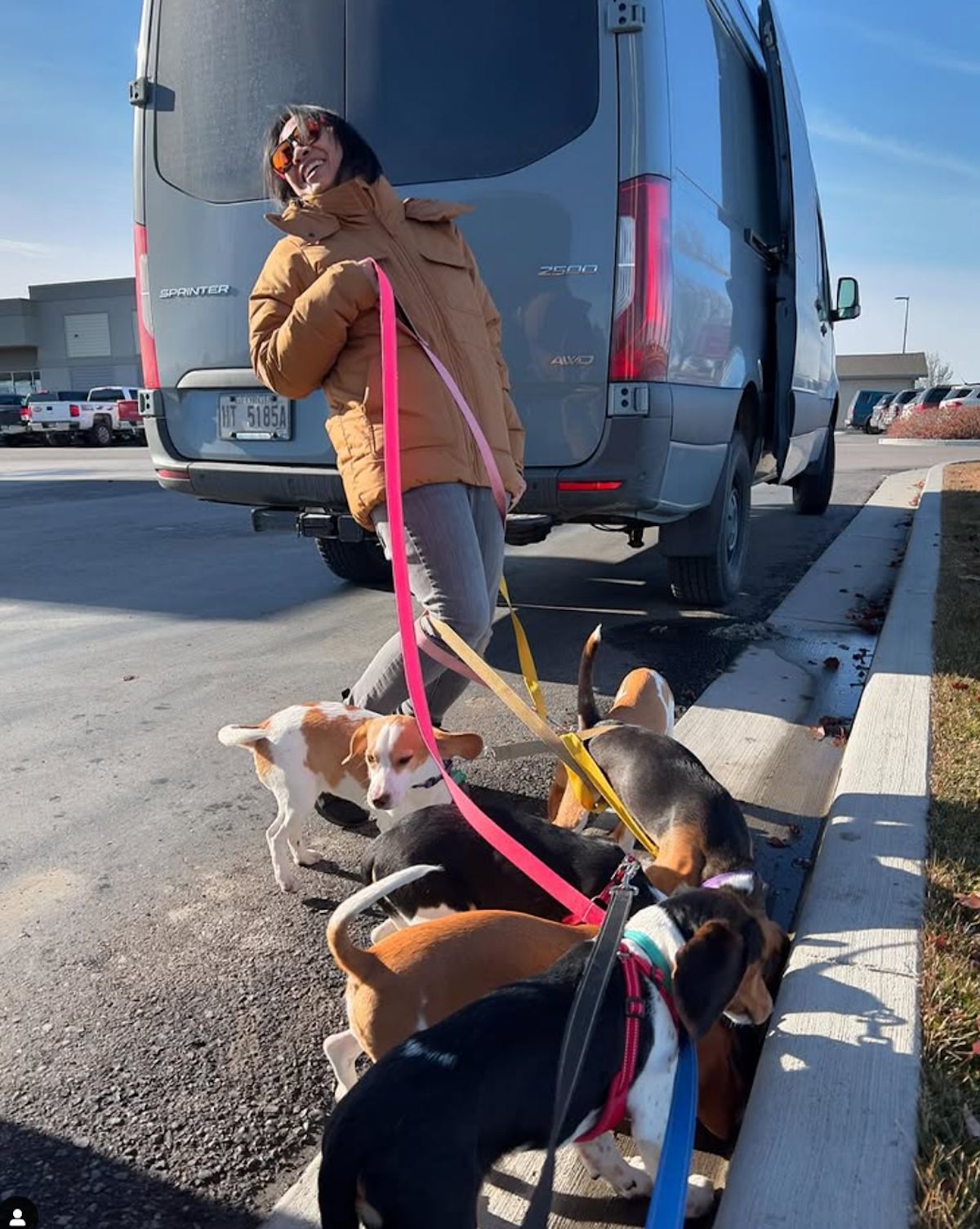 Beverly Braga With Operation Frodo Rescue Dogs Harvey Briggs