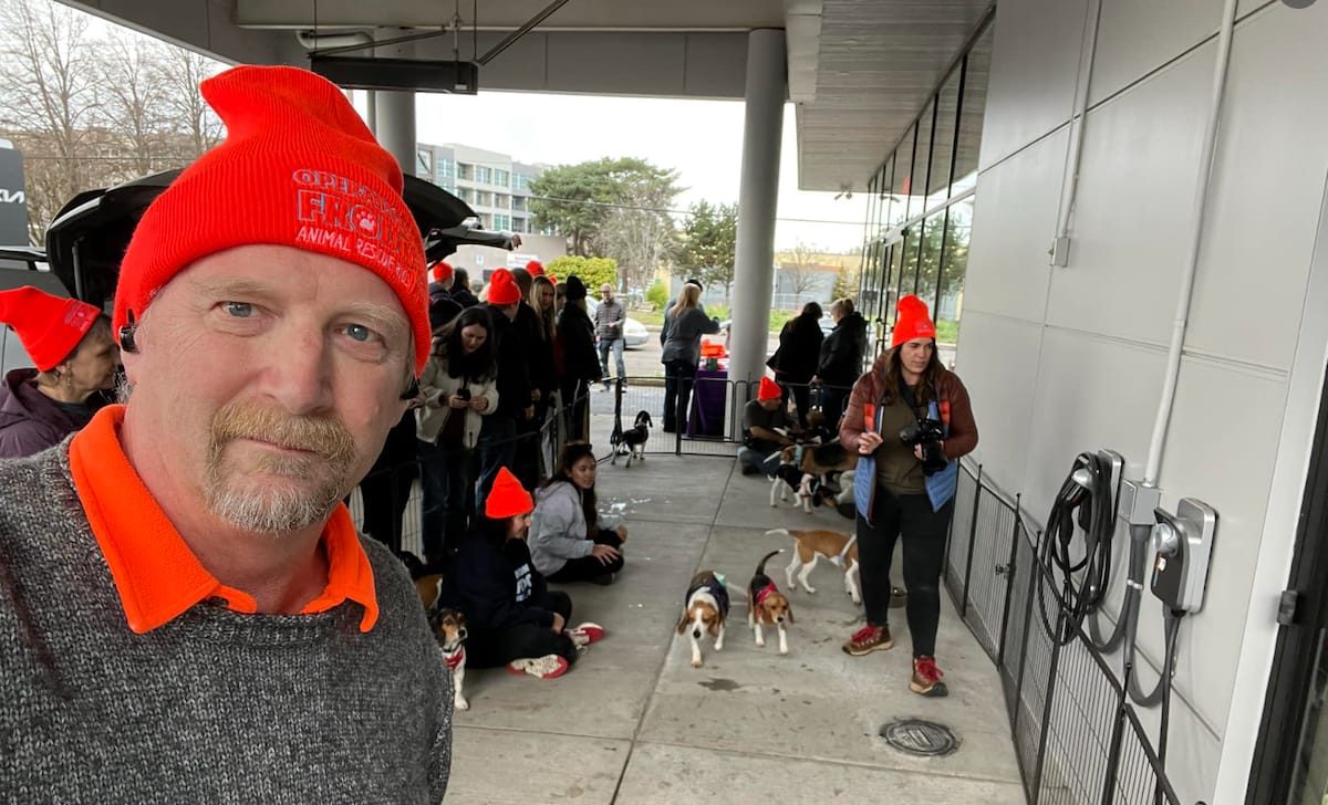 A Girls Guide To Cars | Fred The Rescue Dog Makes It 'Home' For Christmas: Operation Frodo, 20 Journalists And The 23 Rescue Dogs They Drove Cross Country - Operation Frodo Rescue Dog Harvey Briggs