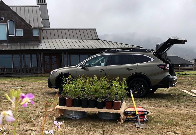 2020 Subaru Outback