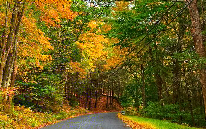 Autumn road trips in New York on A Girls Guide to Cars
