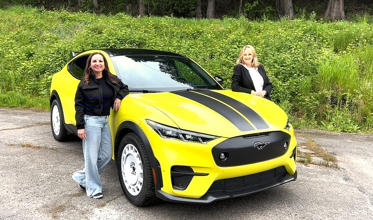 electric cars ev purchase