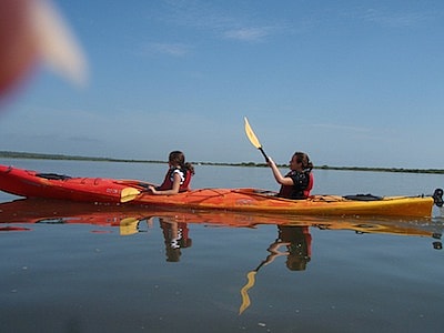 A Girls Guide to Cars | Kayaking the Mangrove Marsh in St. Augustine, Florida - P8020789
