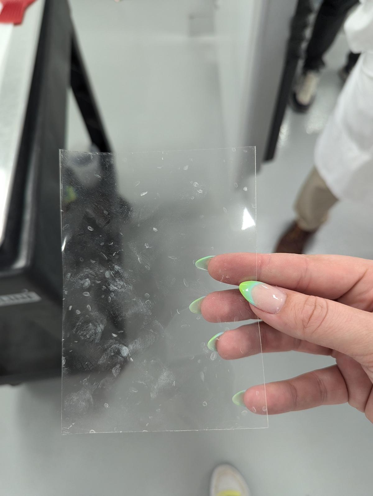 Xpel Ppf Paint Protection Film And The Dings It Protects Your Paint From
