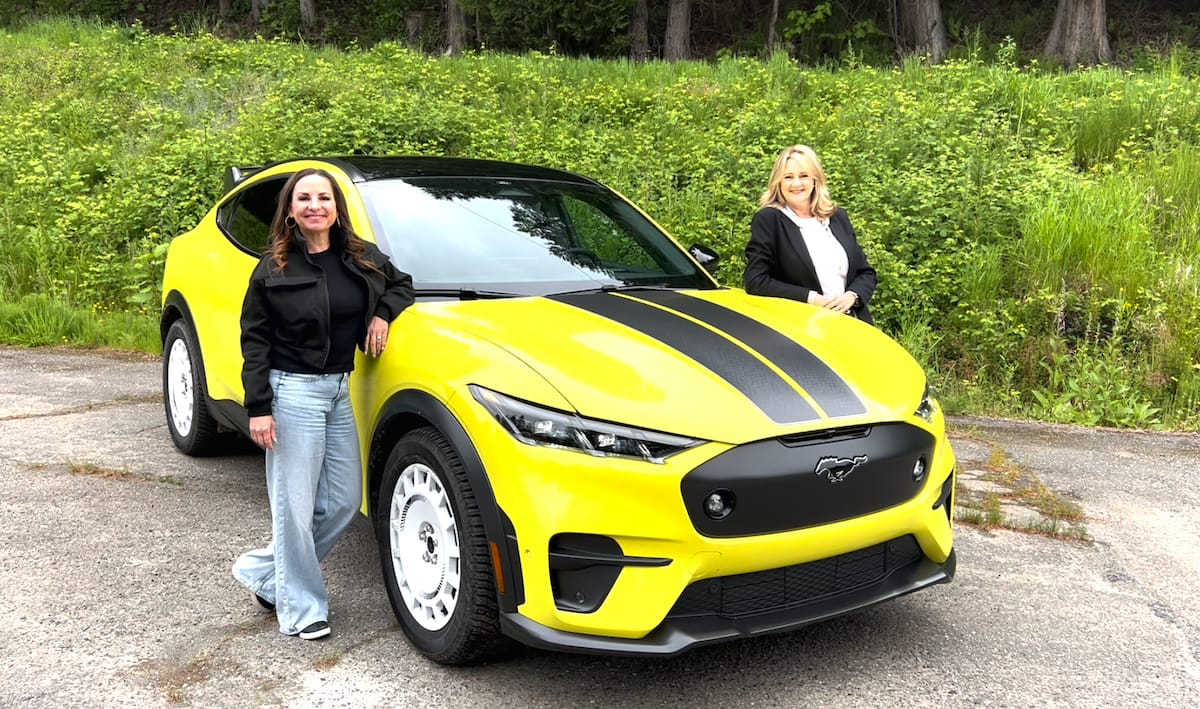 electric cars ev purchase