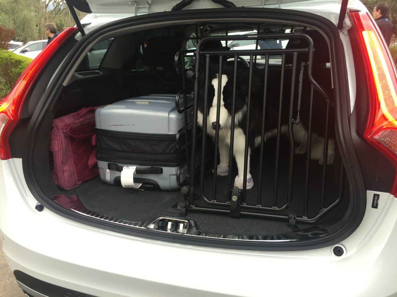 Traveling with a Dog: The Best Cars For Life on the Road With Fido 4 Dog Crate Volvo V60