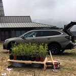 2020 Subaru Outback