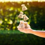 New Deals!