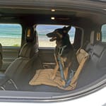 Rivian'S Cabin Climate Control Keeps Pets Safe And Comfortable In Cab. Photo: Kymri Wilt