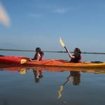 A Girls Guide To Cars | Kayaking The Mangrove Marsh In St. Augustine, Florida - P8020789