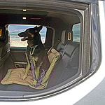 Rivian'S Cabin Climate Control Keeps Pets Safe And Comfortable In Cab. Photo: Kymri Wilt