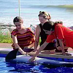 A Girls Guide To Cars | Making Friends With Roxy The Dolphin At Marineland, Florida - Ml2