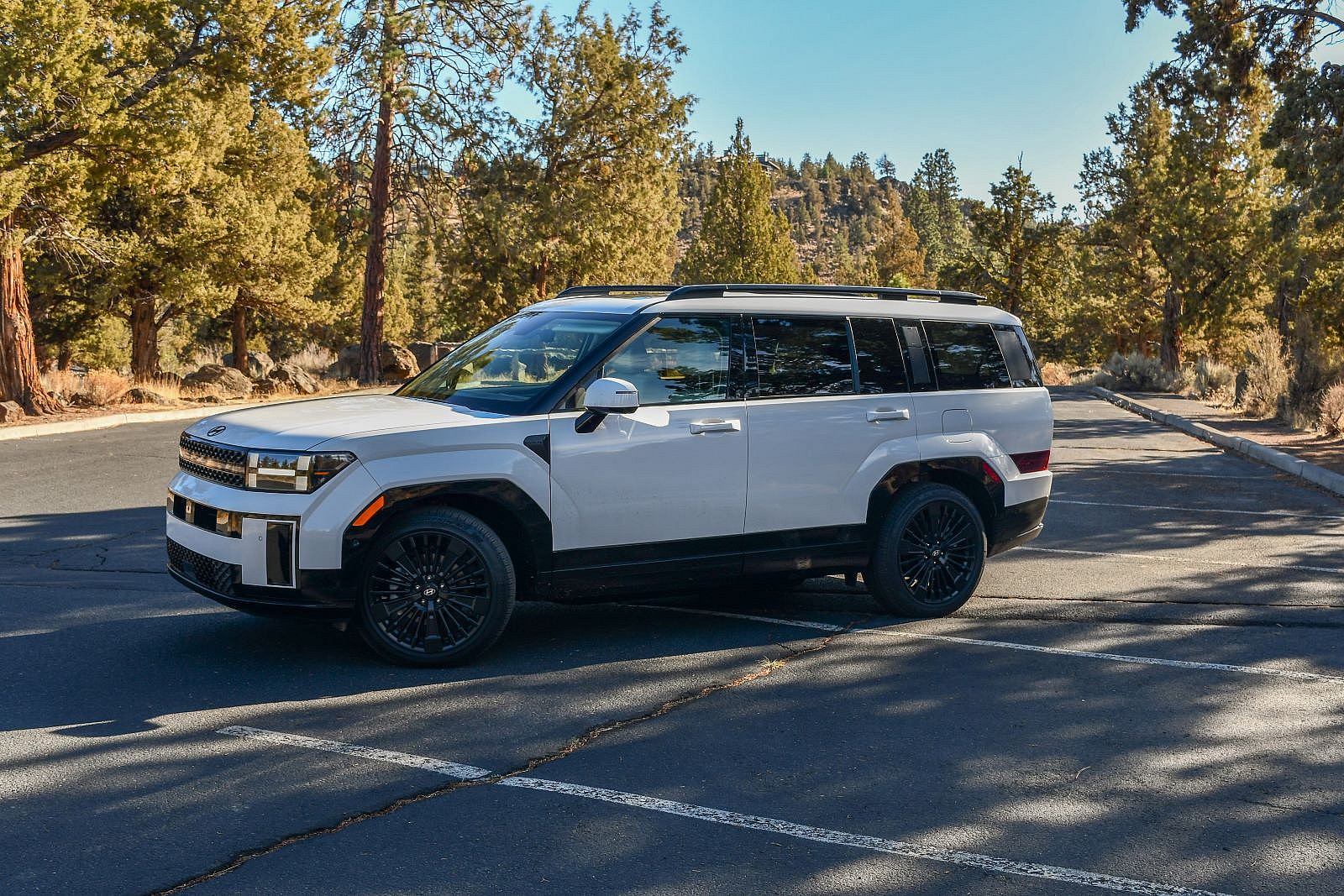 The 2024 Hyundai Santa Fe Calligraphy Hybrid Parked In A Woodsy Parking Lot
