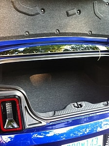 The Roomy Mustang Trunk