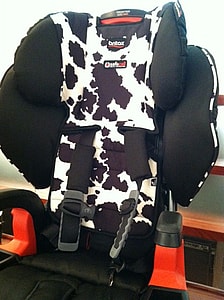 Britax Car Seat