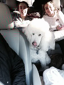 Second Row Space In The Toyota Sienna