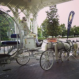 The Magic Of Disney Resorts