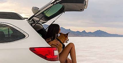 Salt Flats