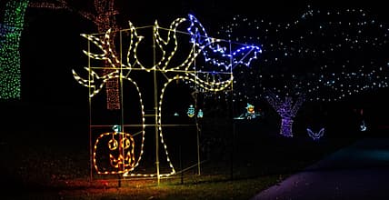 Halloween Light Show