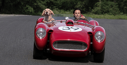 The Art Of Racing In The Rain Movie Review