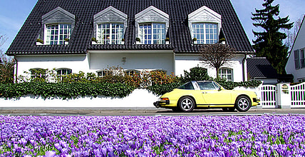 Bright Yellow Porsche Parked Near Blooming Crocus Flowers