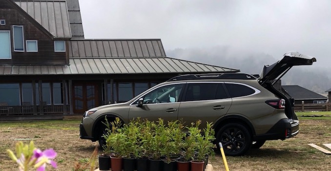 2020 Subaru Outback