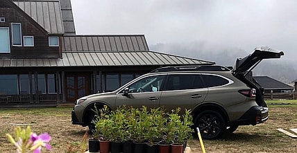 2020 Subaru Outback