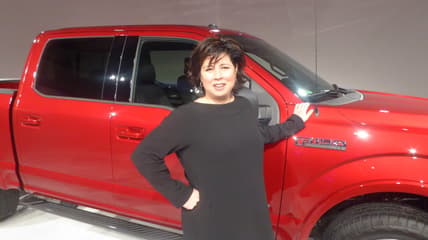 Ford Panel