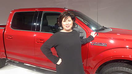 Ford Panel