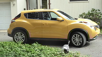 Compact Crossover