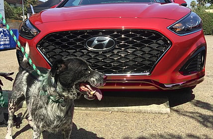 2018 Hyundai Sonata.