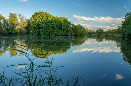 6 Best State Parks In East Texas