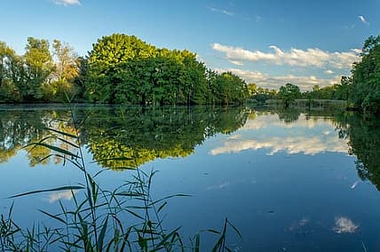 6 Best State Parks In East Texas