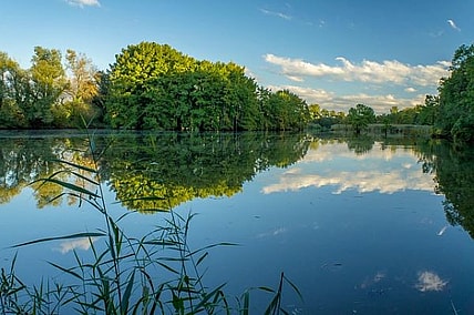 6 Best State Parks In East Texas