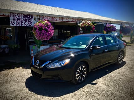 Nissan Altima Review