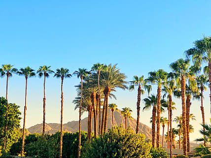 Miramonte Palm Springs Resort