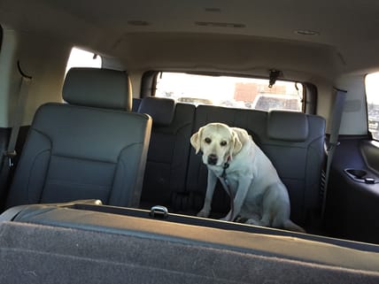 2016 Yukon Denali