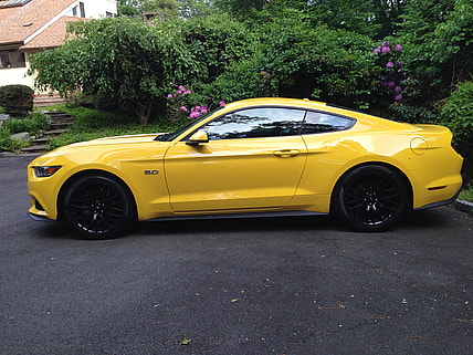 2015 Mustang Gt