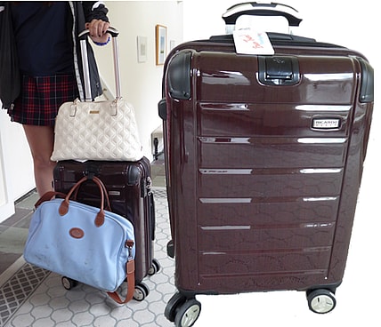 Ricardo Beverly Hills Luggage