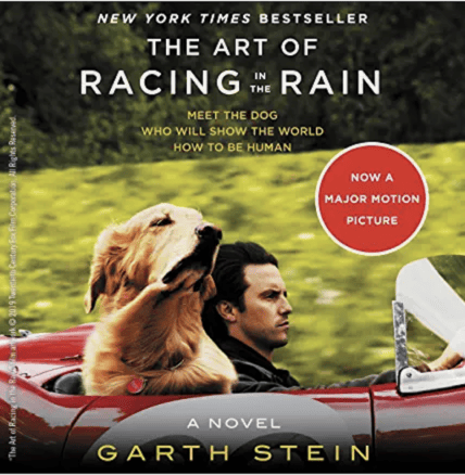 The Art Of Racing In The Rain Audio Books