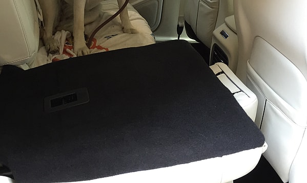 A Girls Guide To Cars | Cars For Dog Lovers: Can We Get One That’s Self Cleaning? - Img 3665