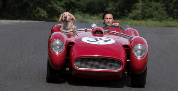 The Art Of Racing In The Rain Movie Review
