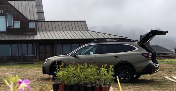 2020 Subaru Outback